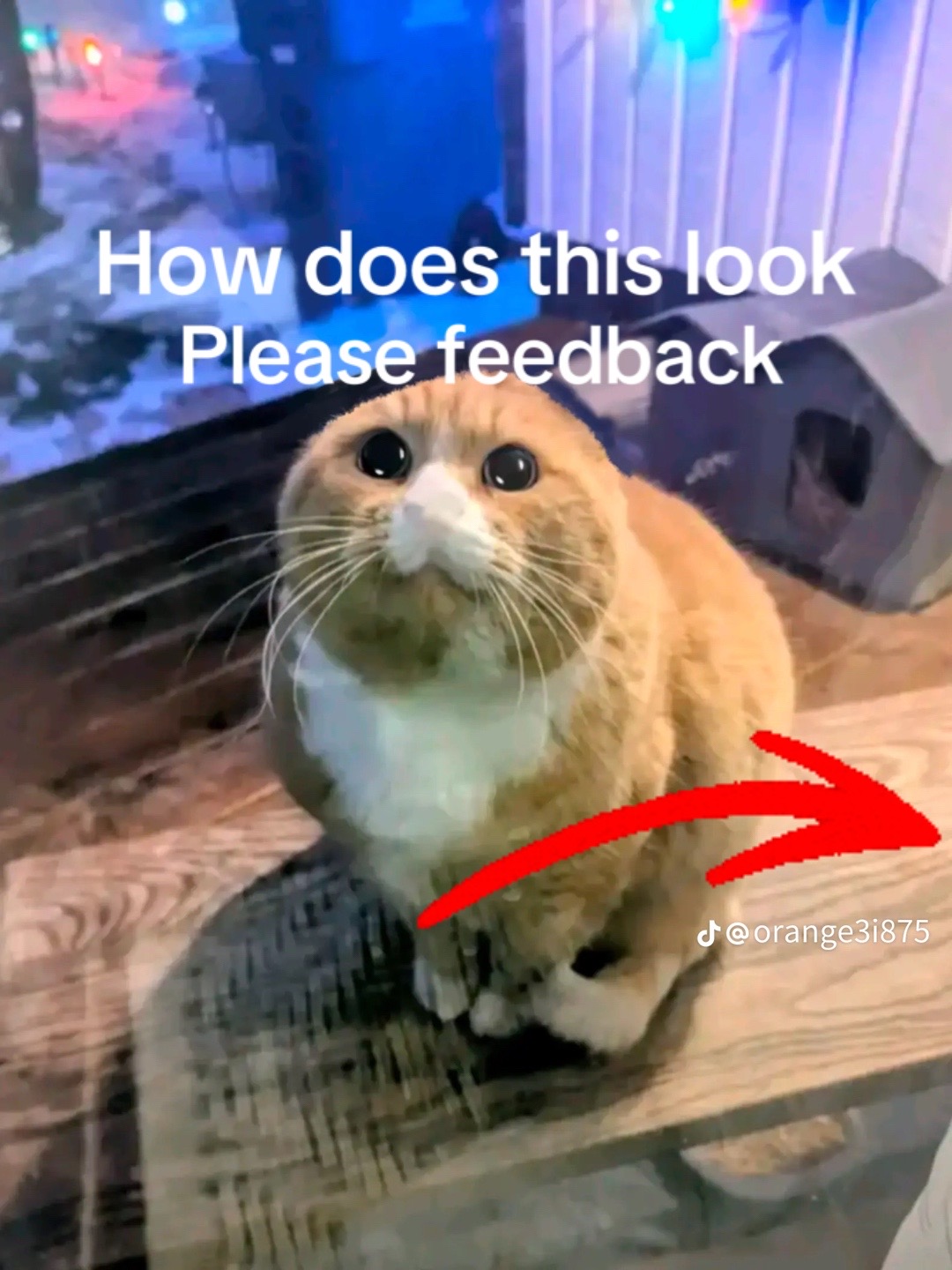 @Ahs762