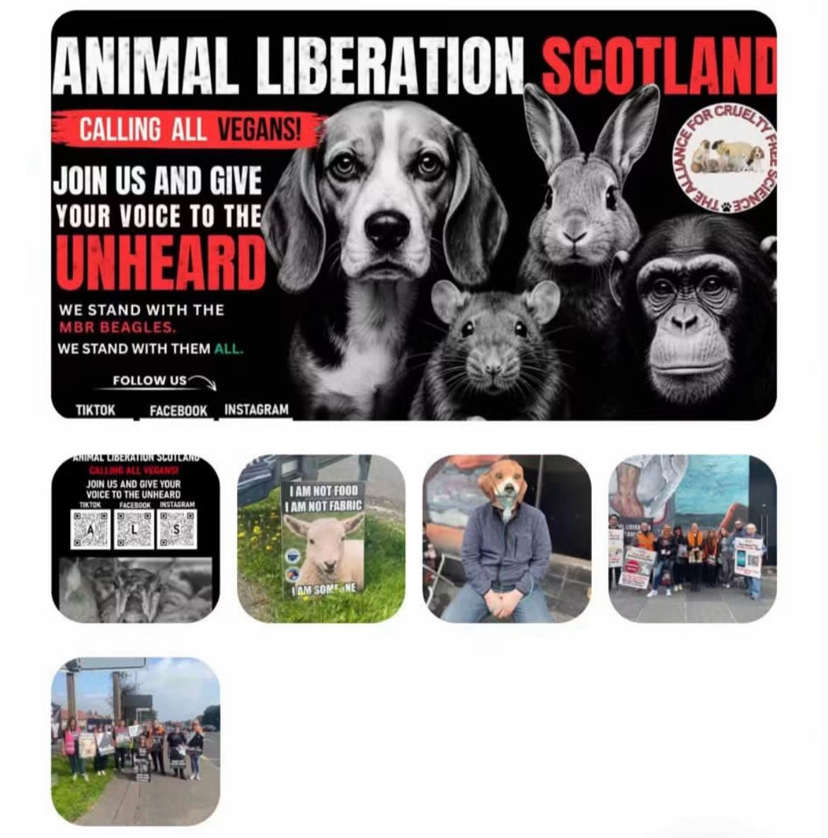 @animalliberationscotland
