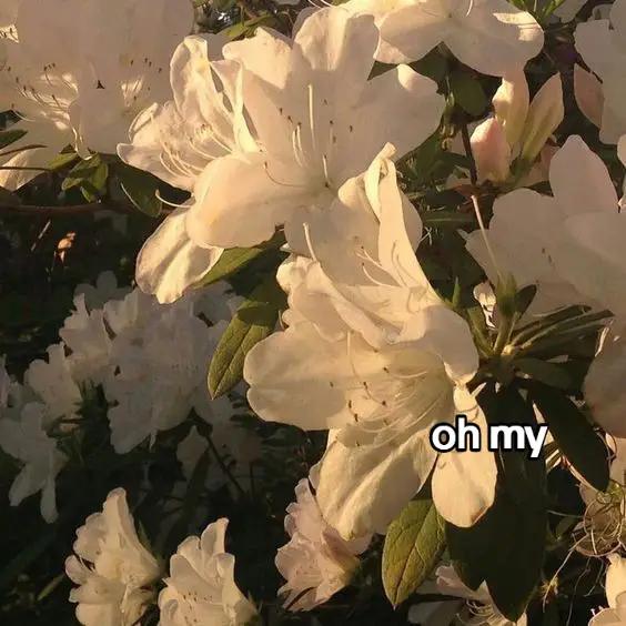 @Milena