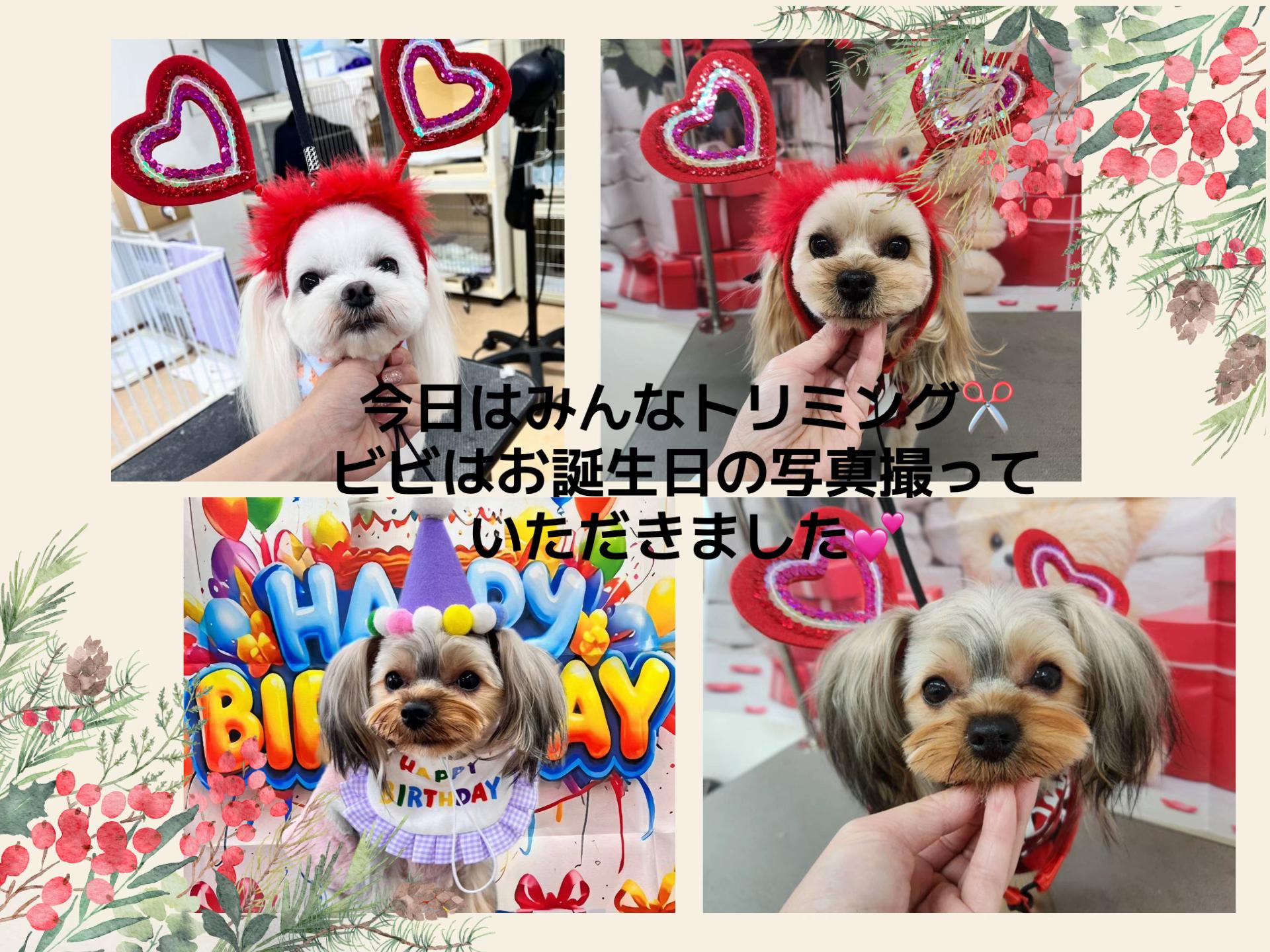 @ビビまるトンチャー