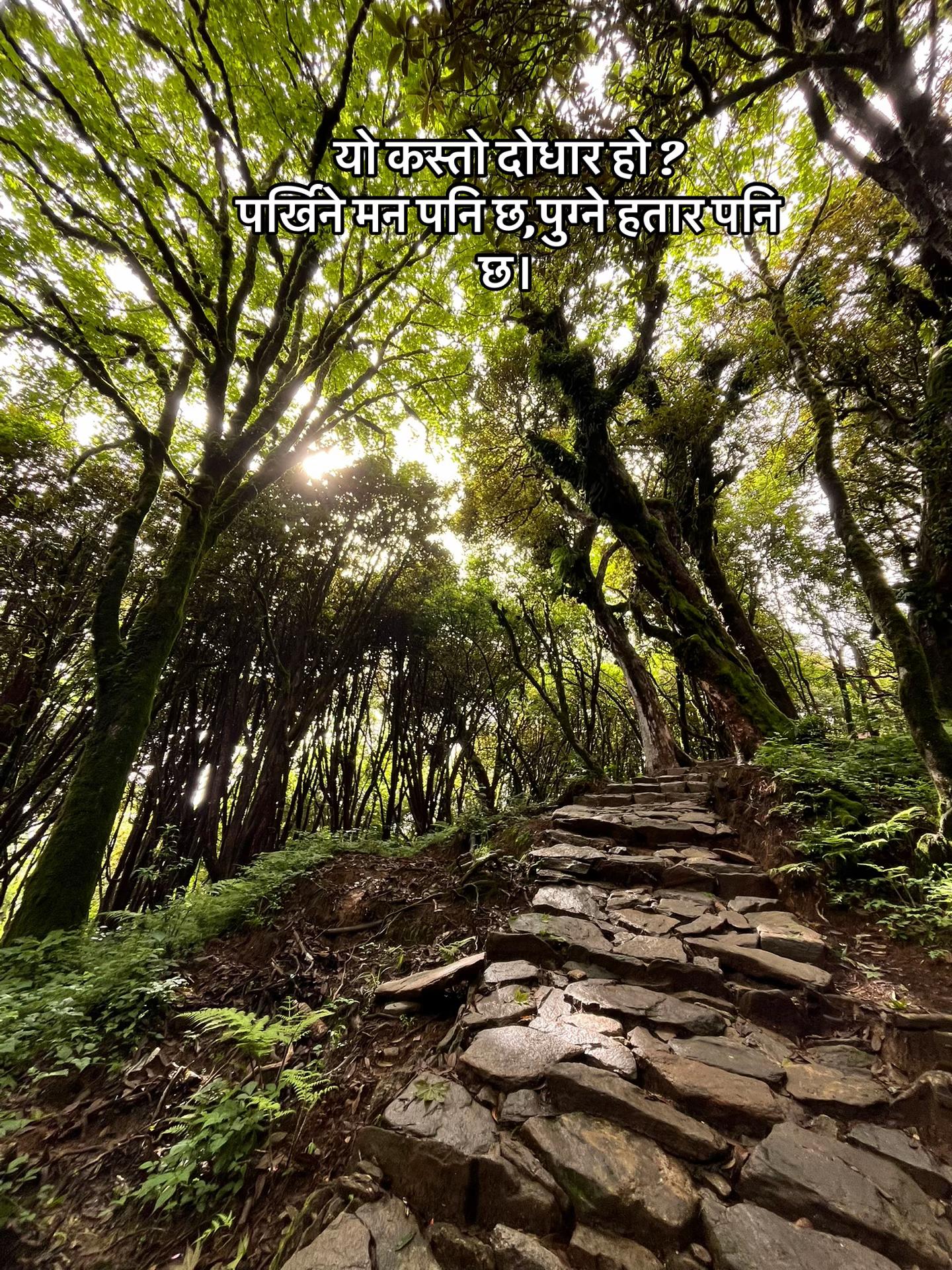 @Deepika Chamlagain 🌸