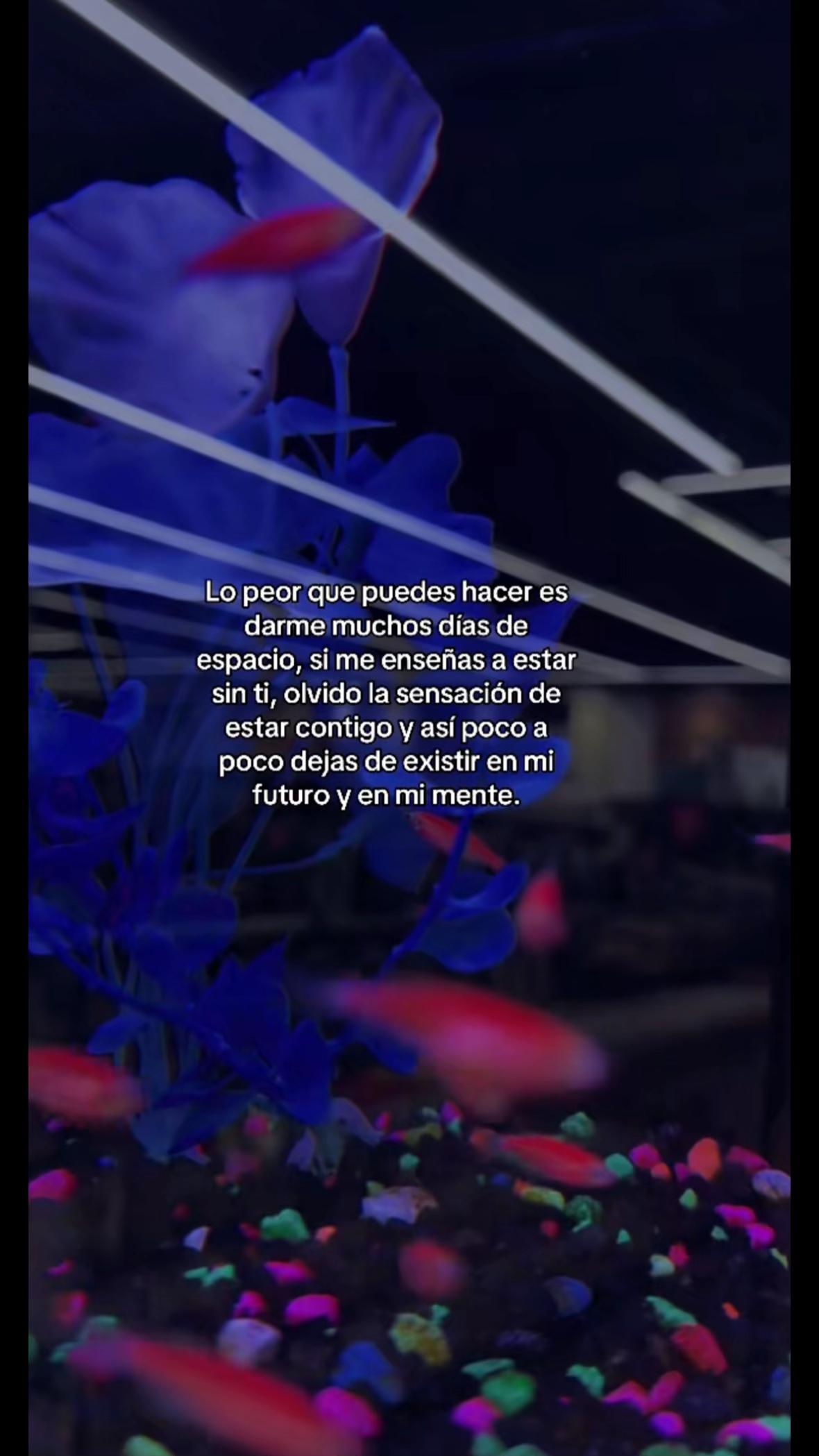 @JhOsep_Mhontero🦕🦕