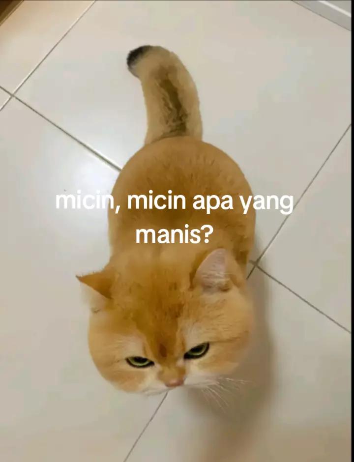 @🅰️