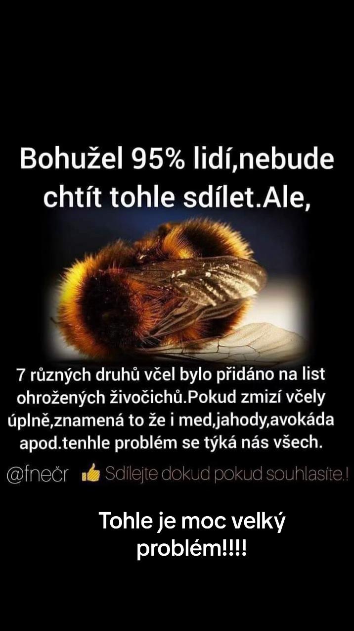 @Radim Volák