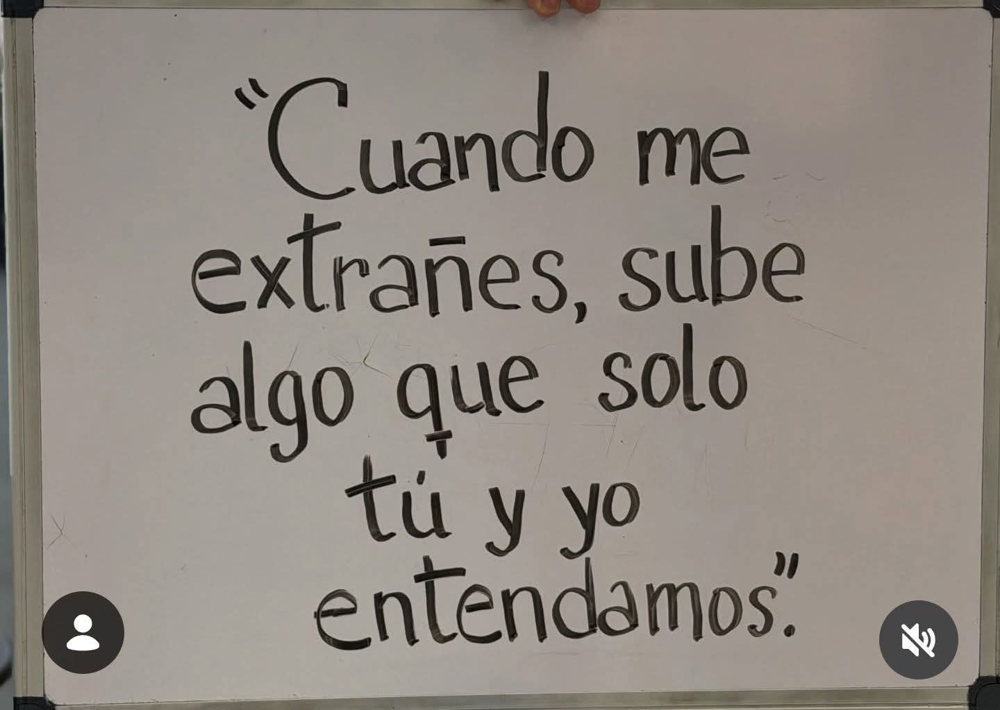 @laurasarmiento918