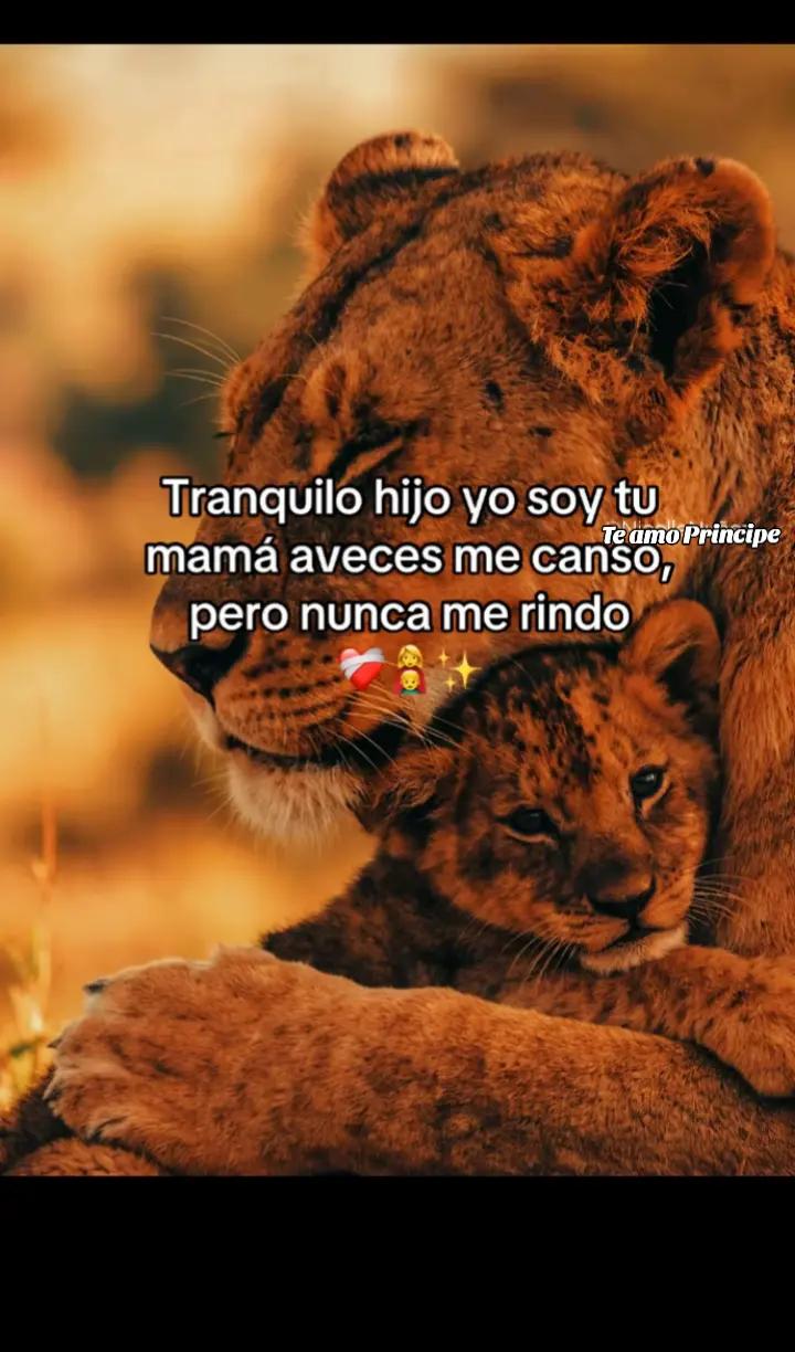 @๐ Brenda baldemar ๐