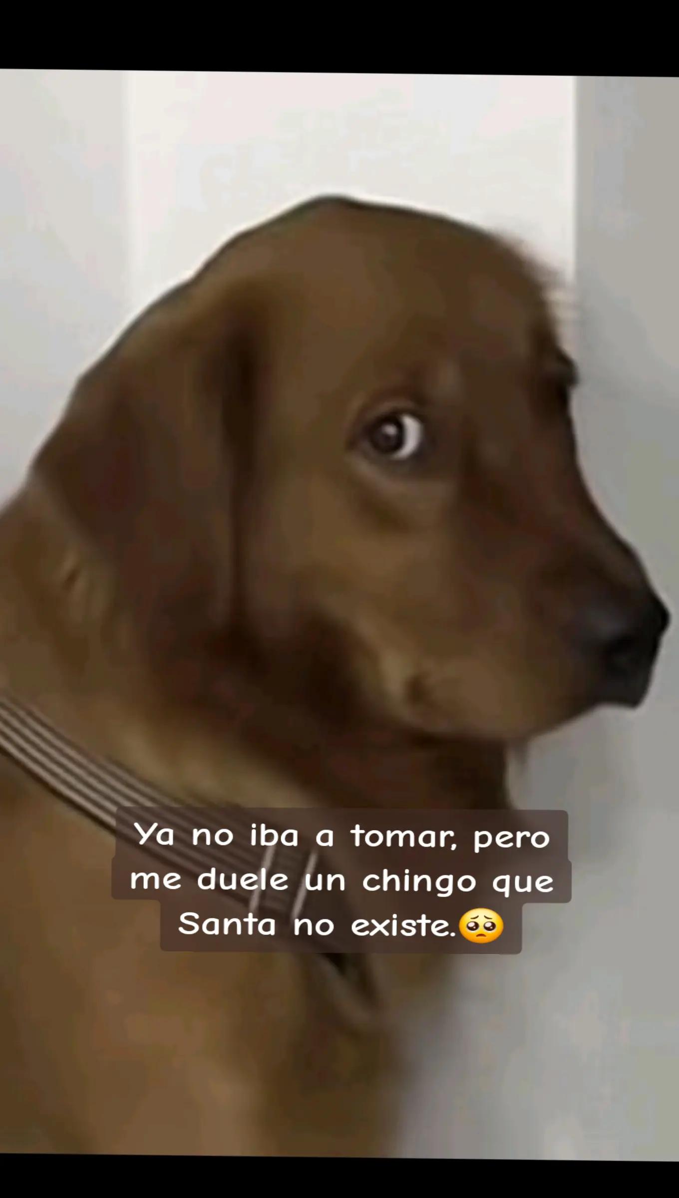 @Adripradilla