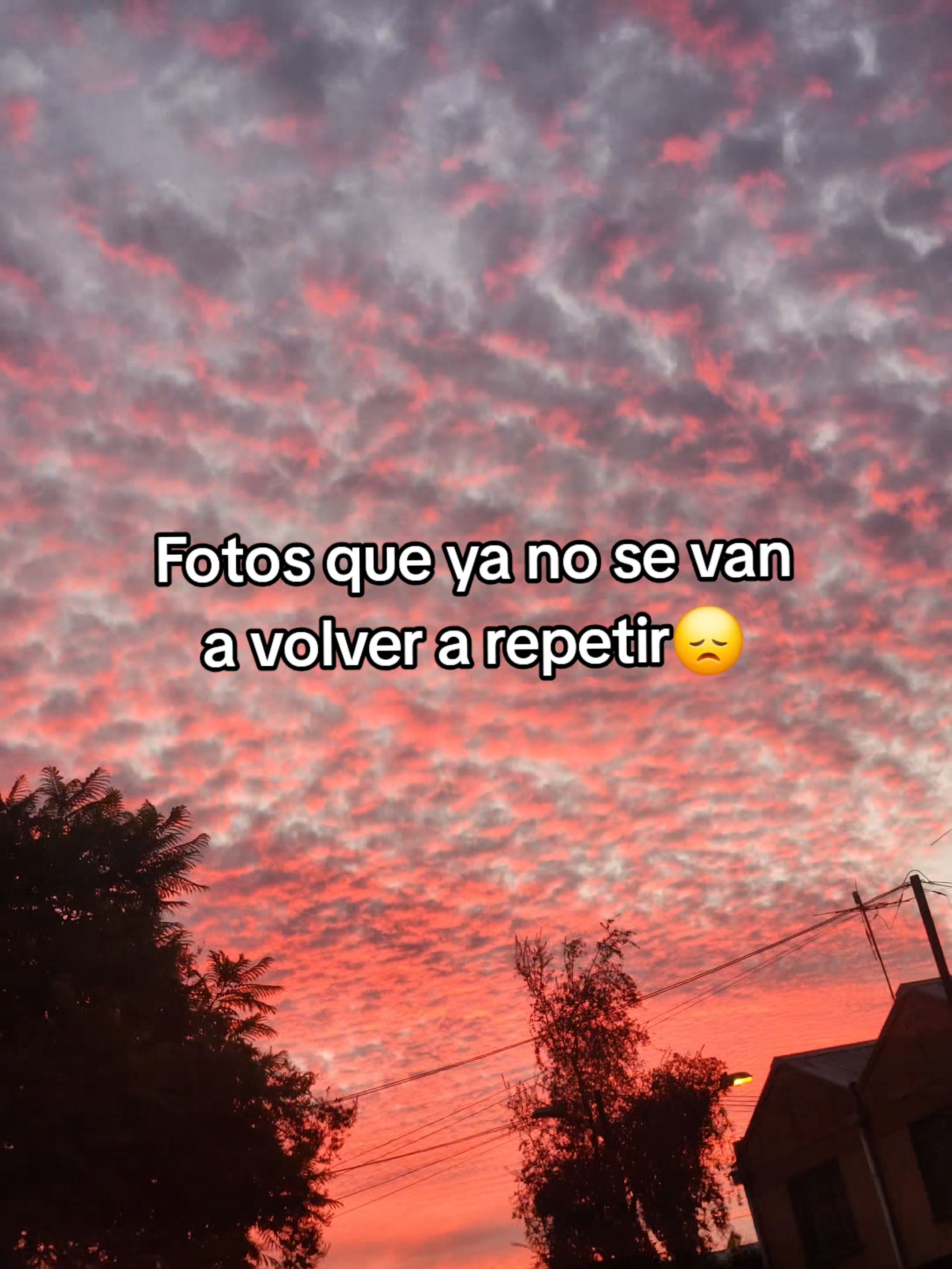 @🤍