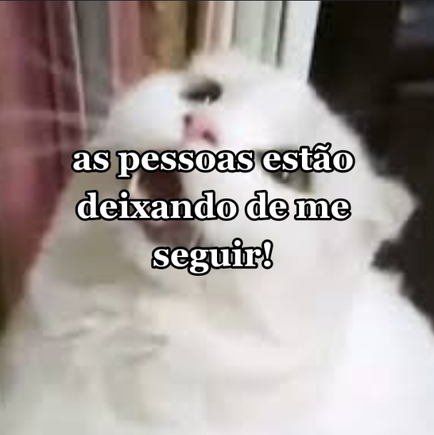 @Ozzy o gato