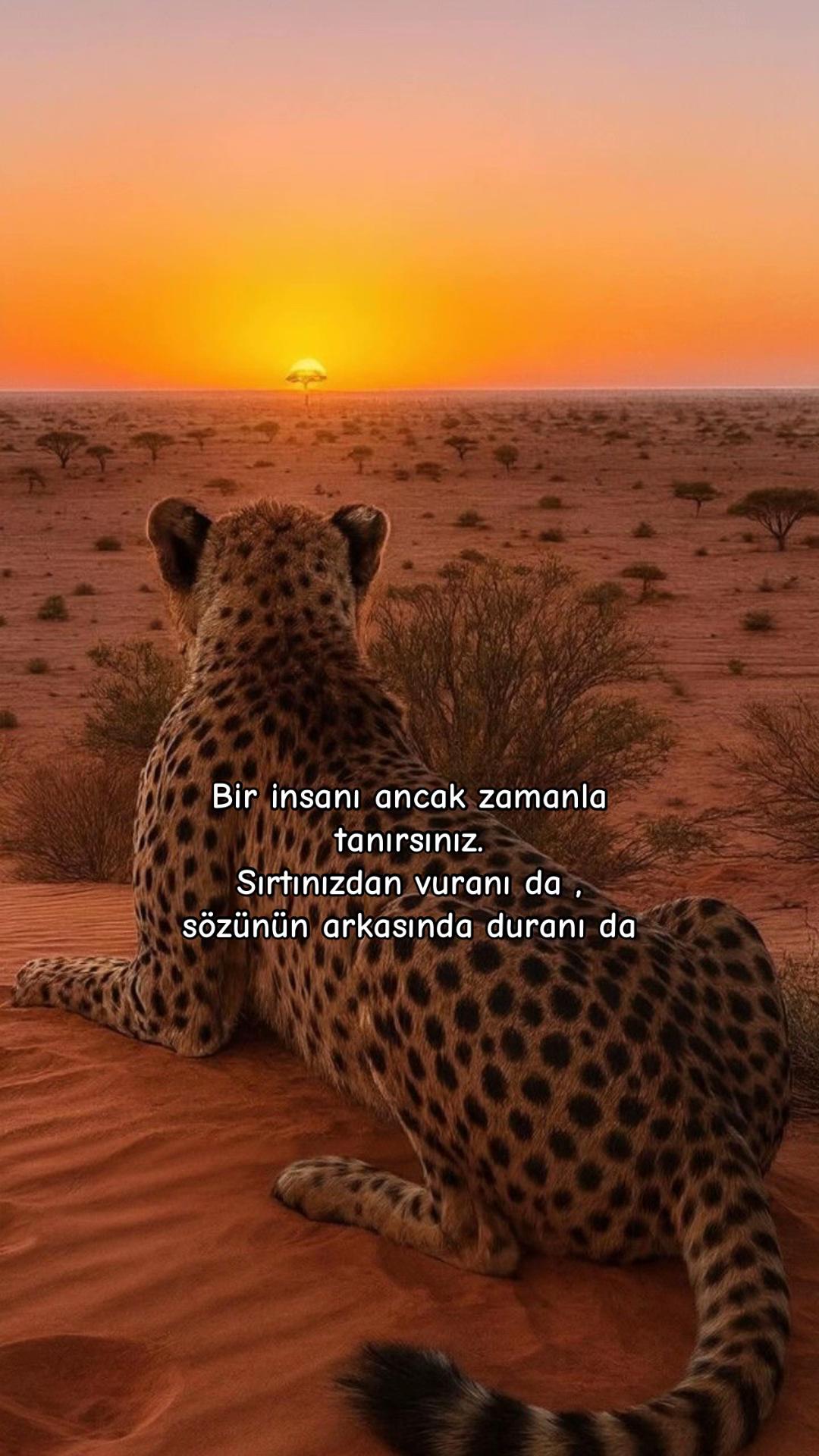 @Atarlı Kadın