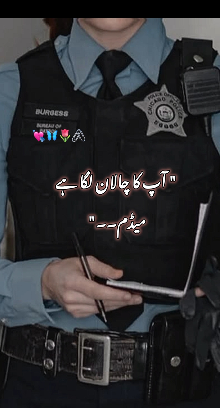 @Ayraa khan