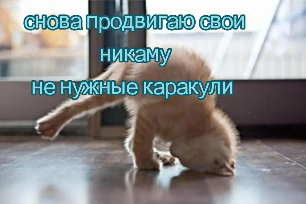 @^^shillalalalaXD