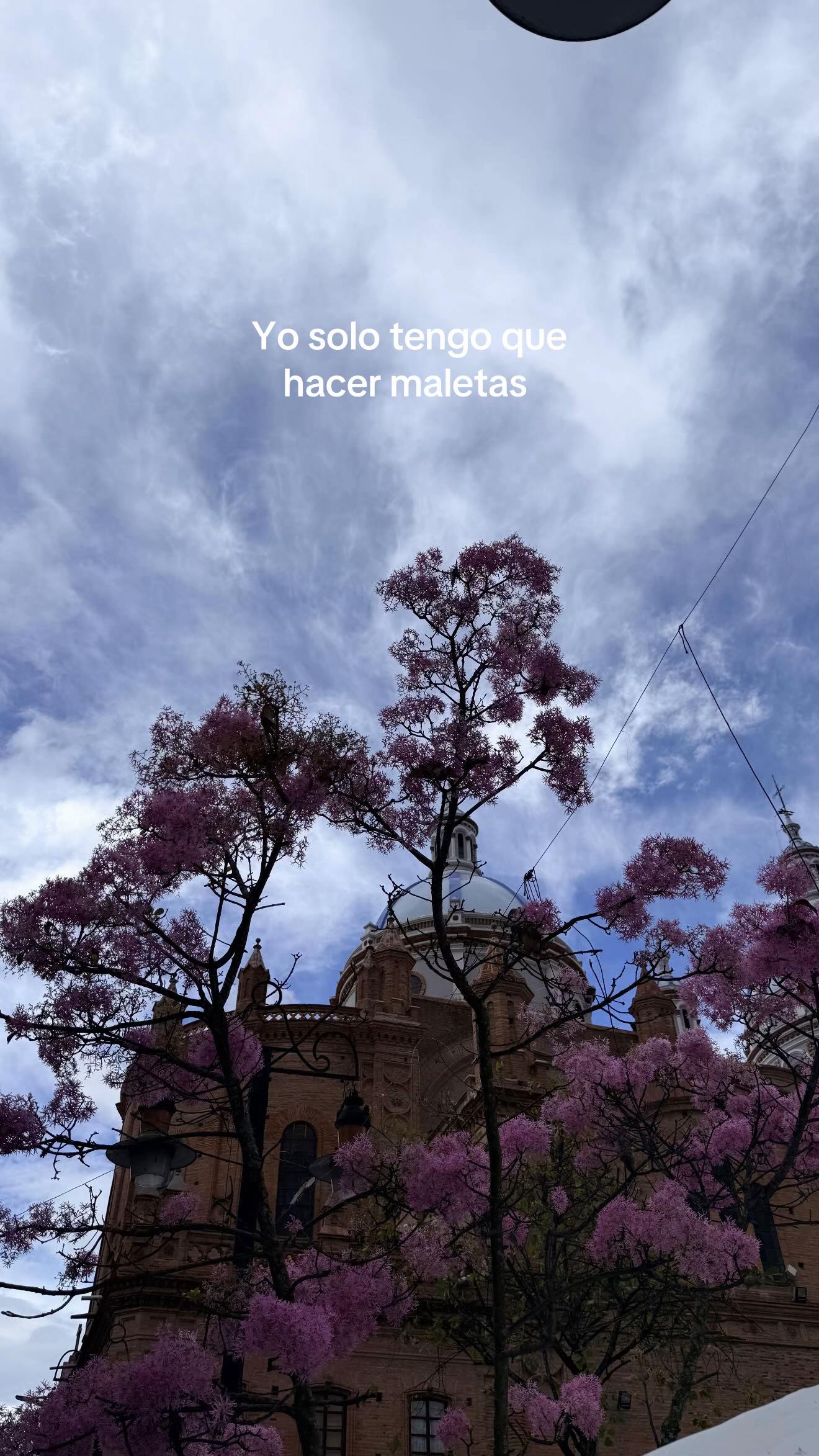 @Paola