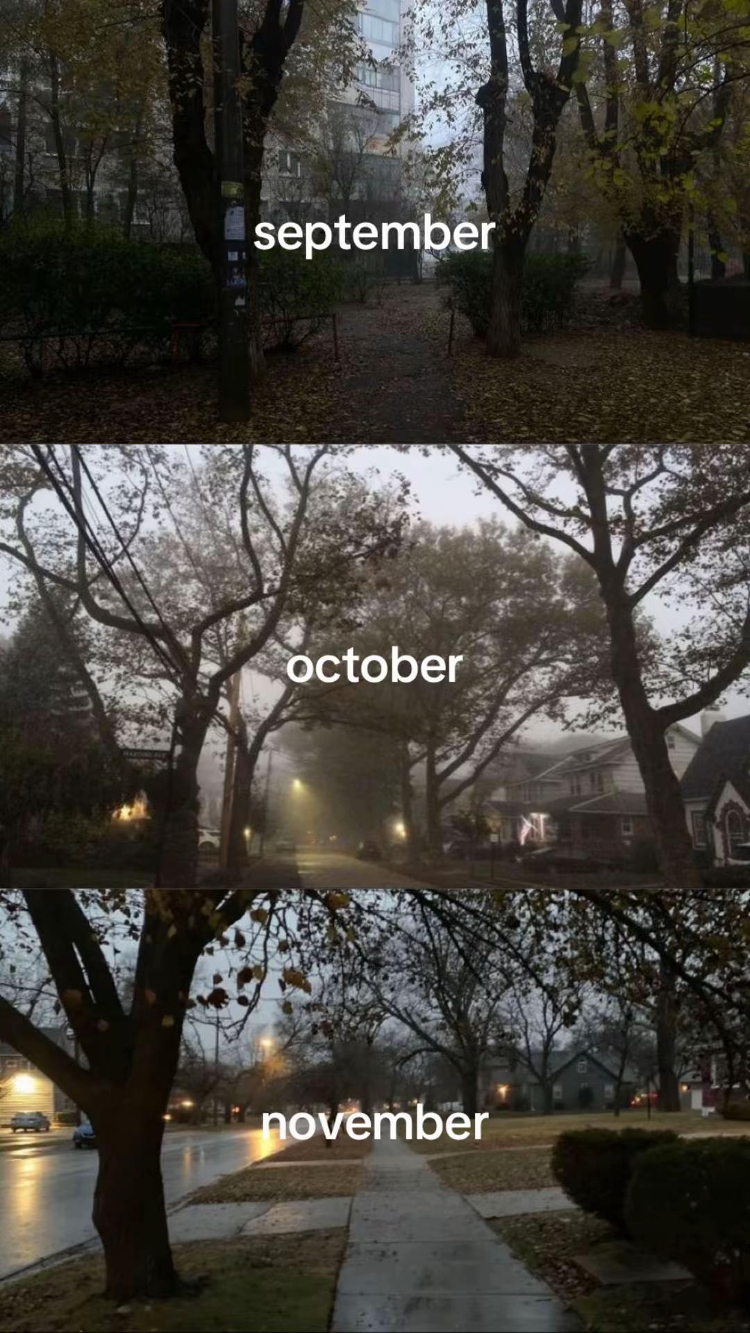 @златвв