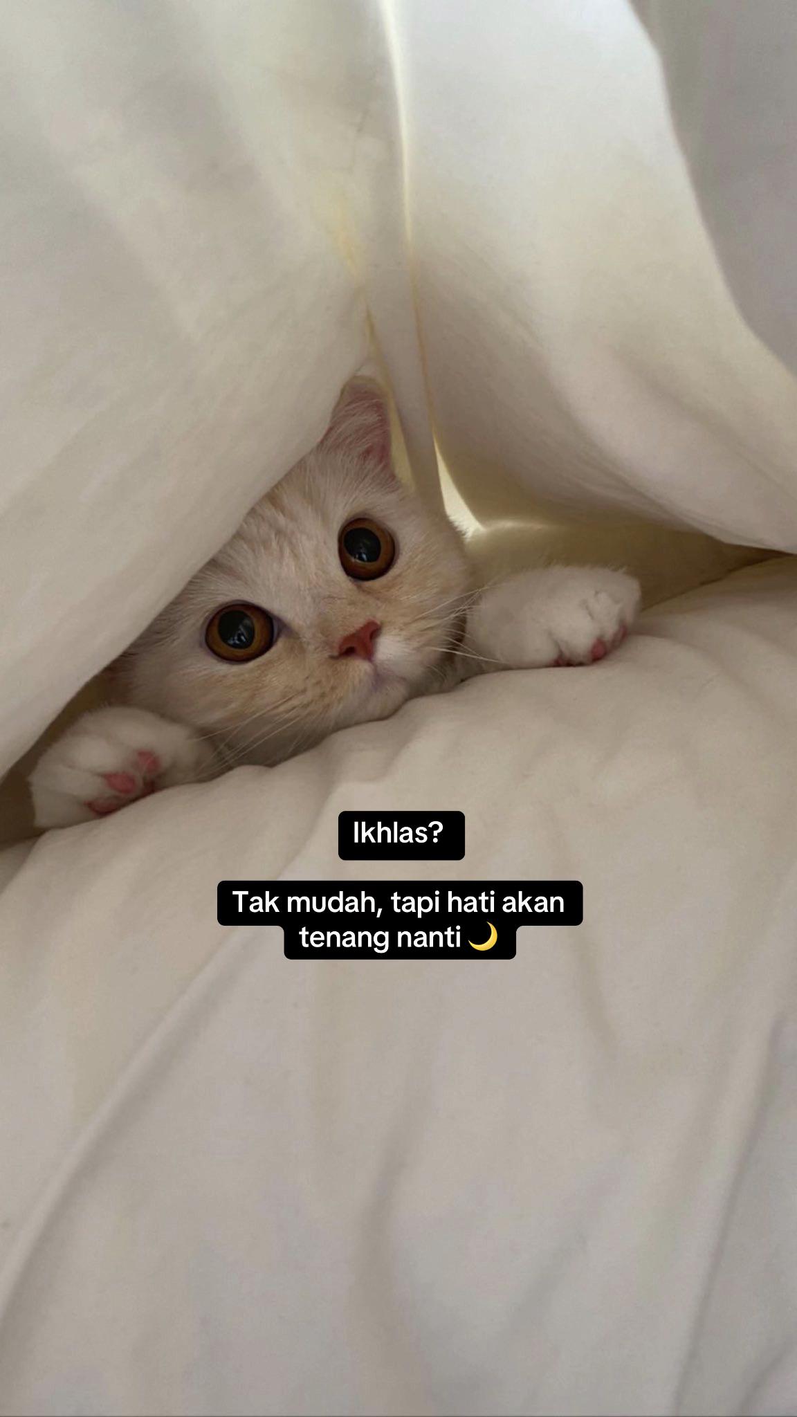 @Izzatyy_