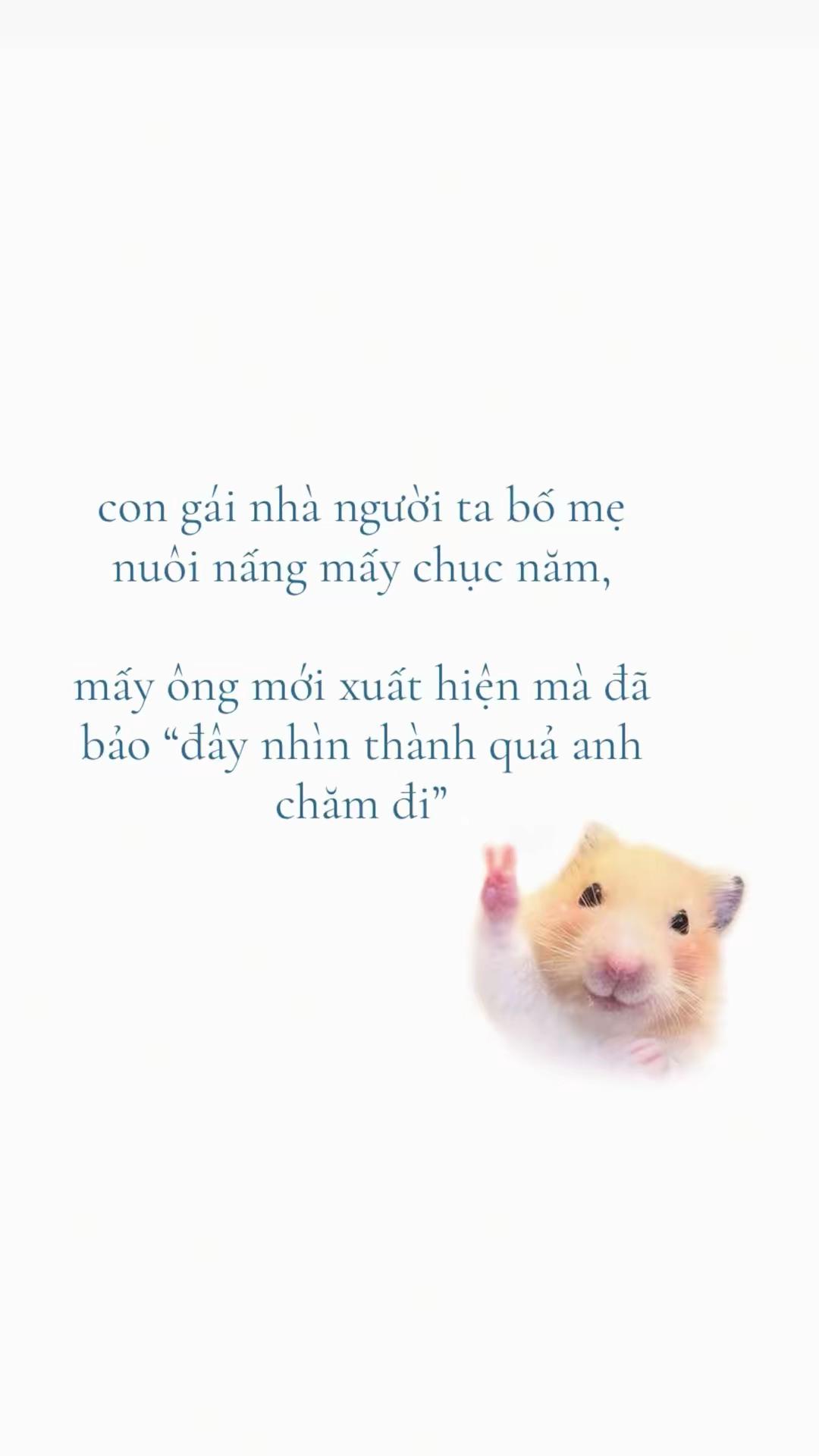 @🌻
