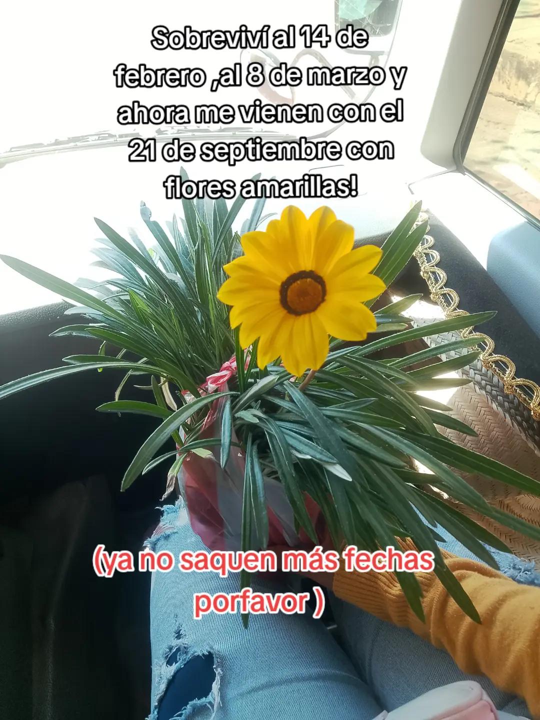 @Aiko Akay