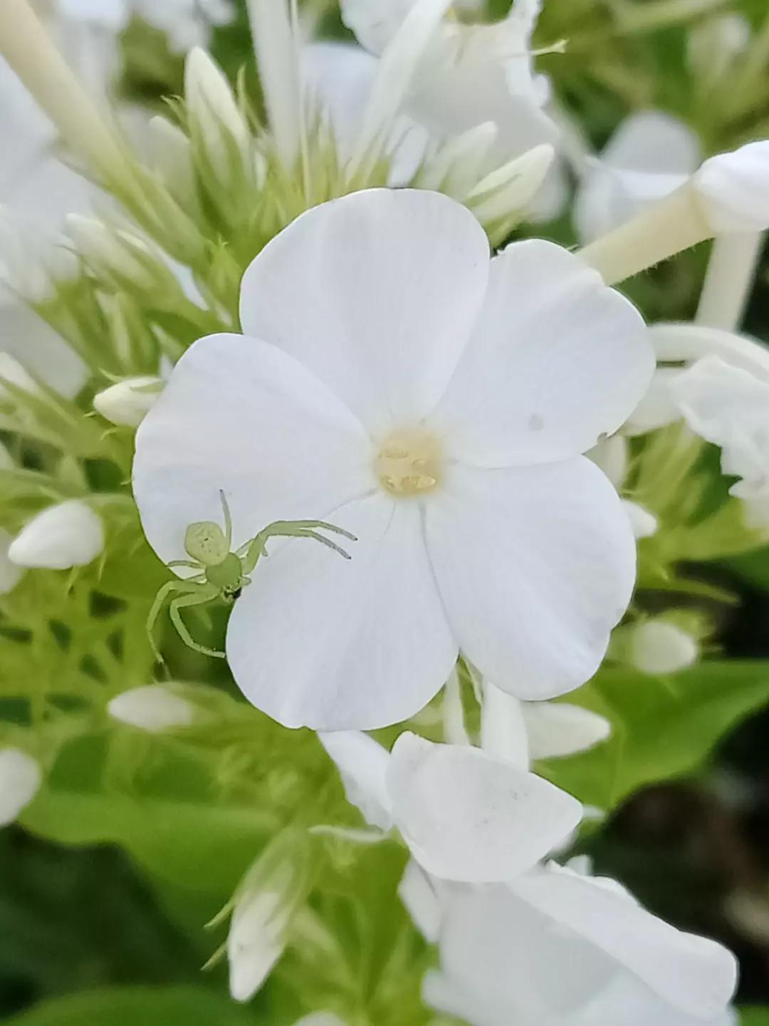 @Jaskółeczka 💫💫💫💫