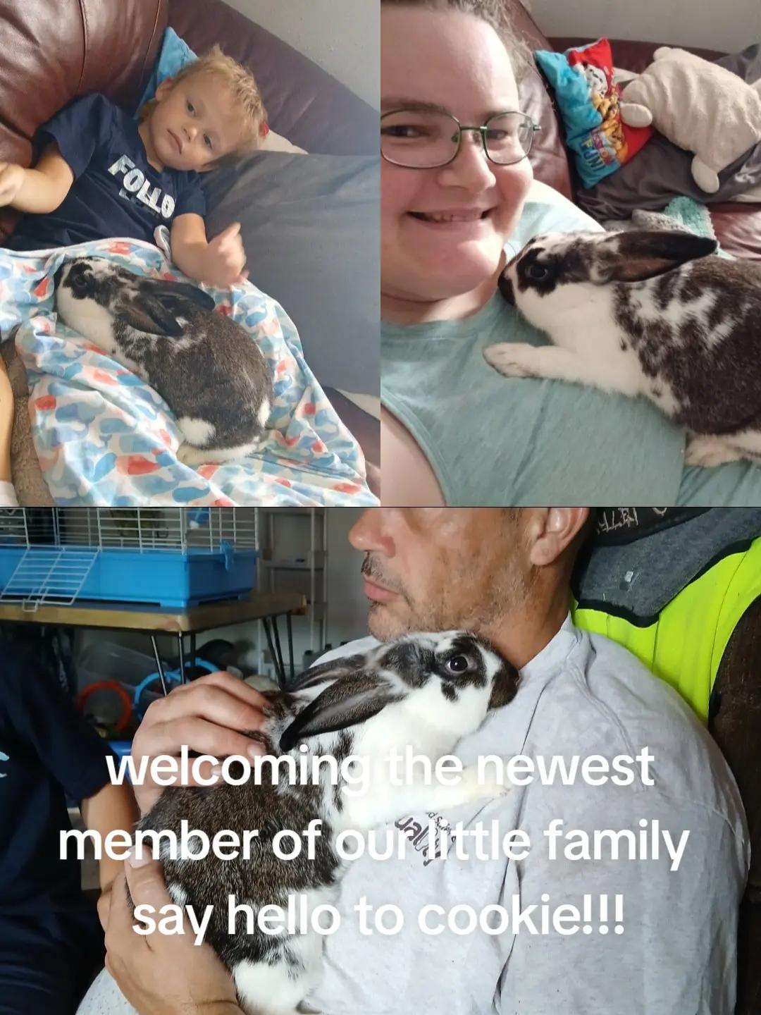 @luvhorsemom0127