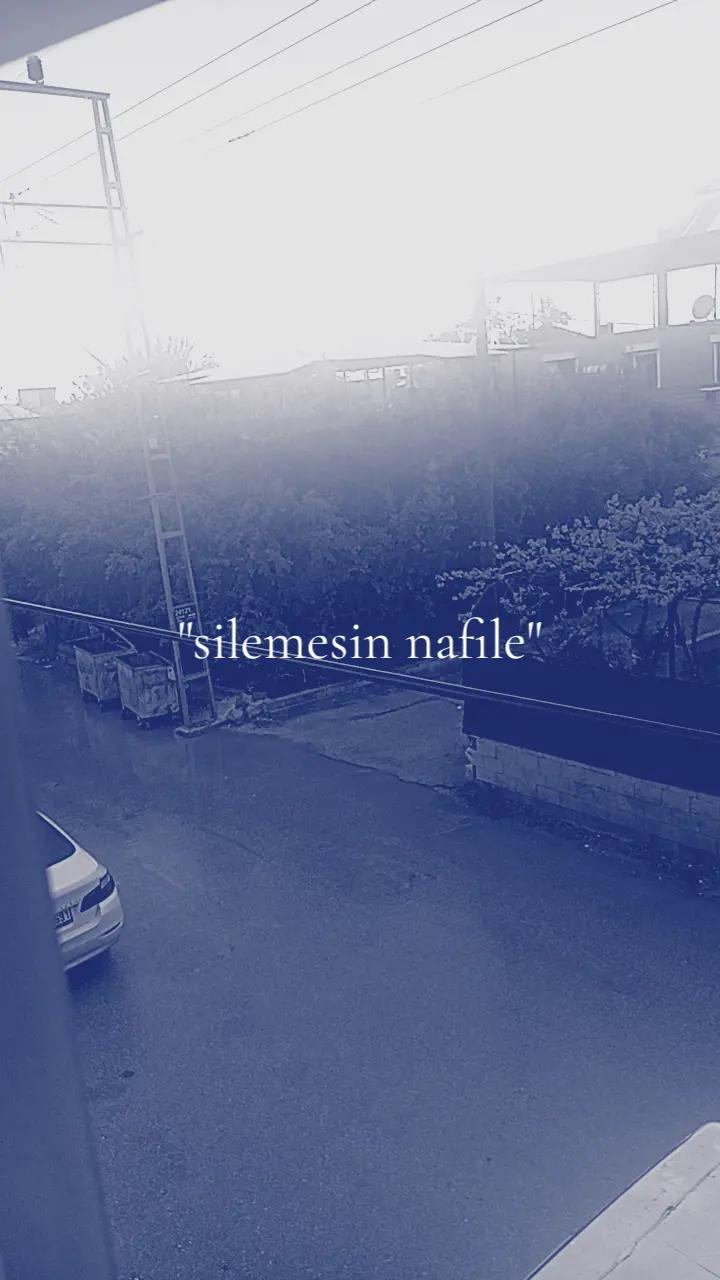 @asel farkedene nadar