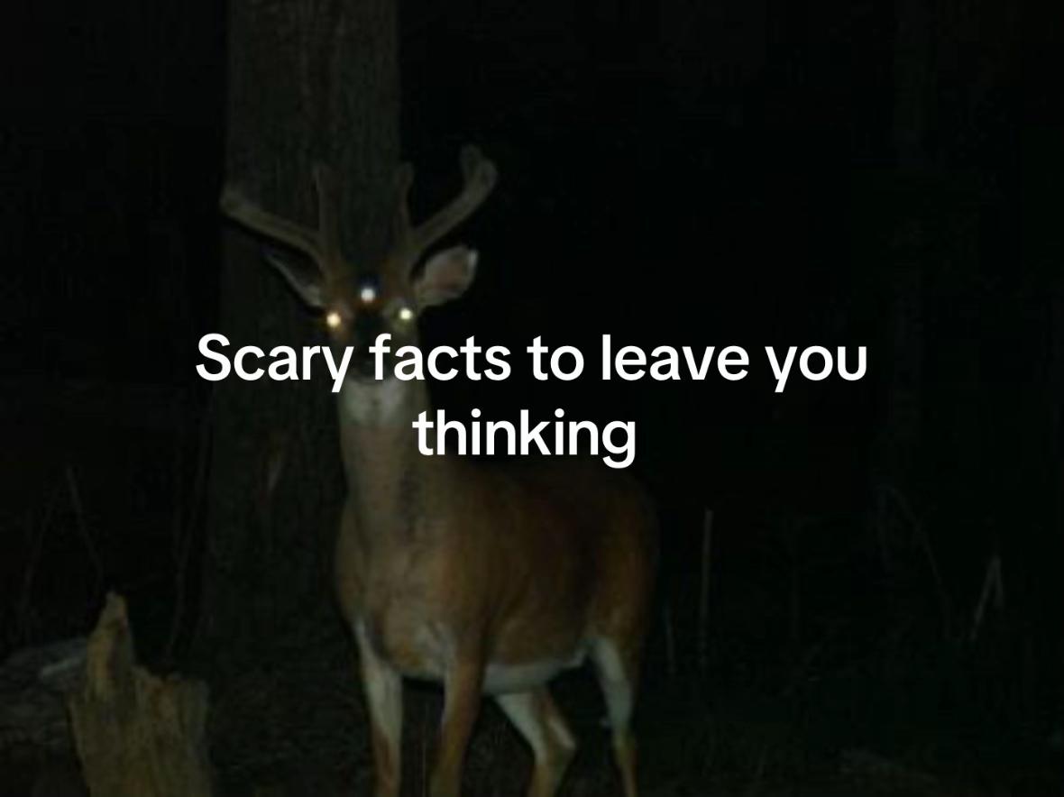 @7troop
