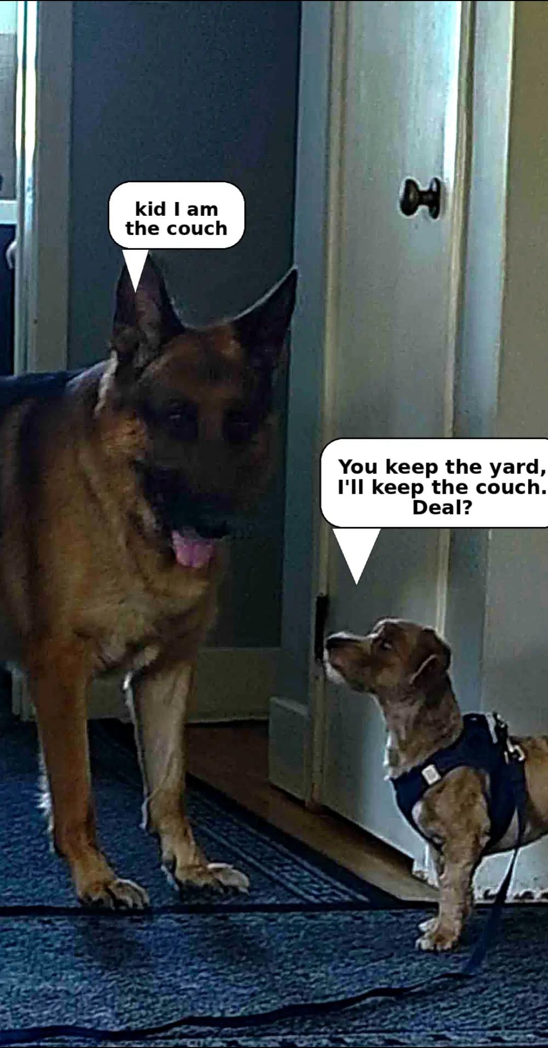 @BuddyandMikes Pal