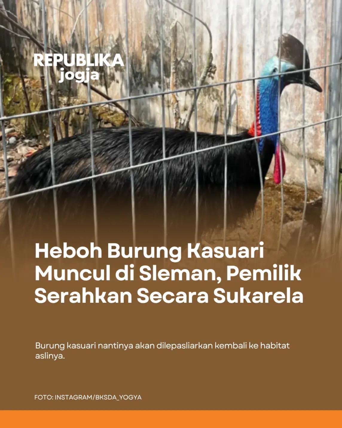 @Republika Jogja