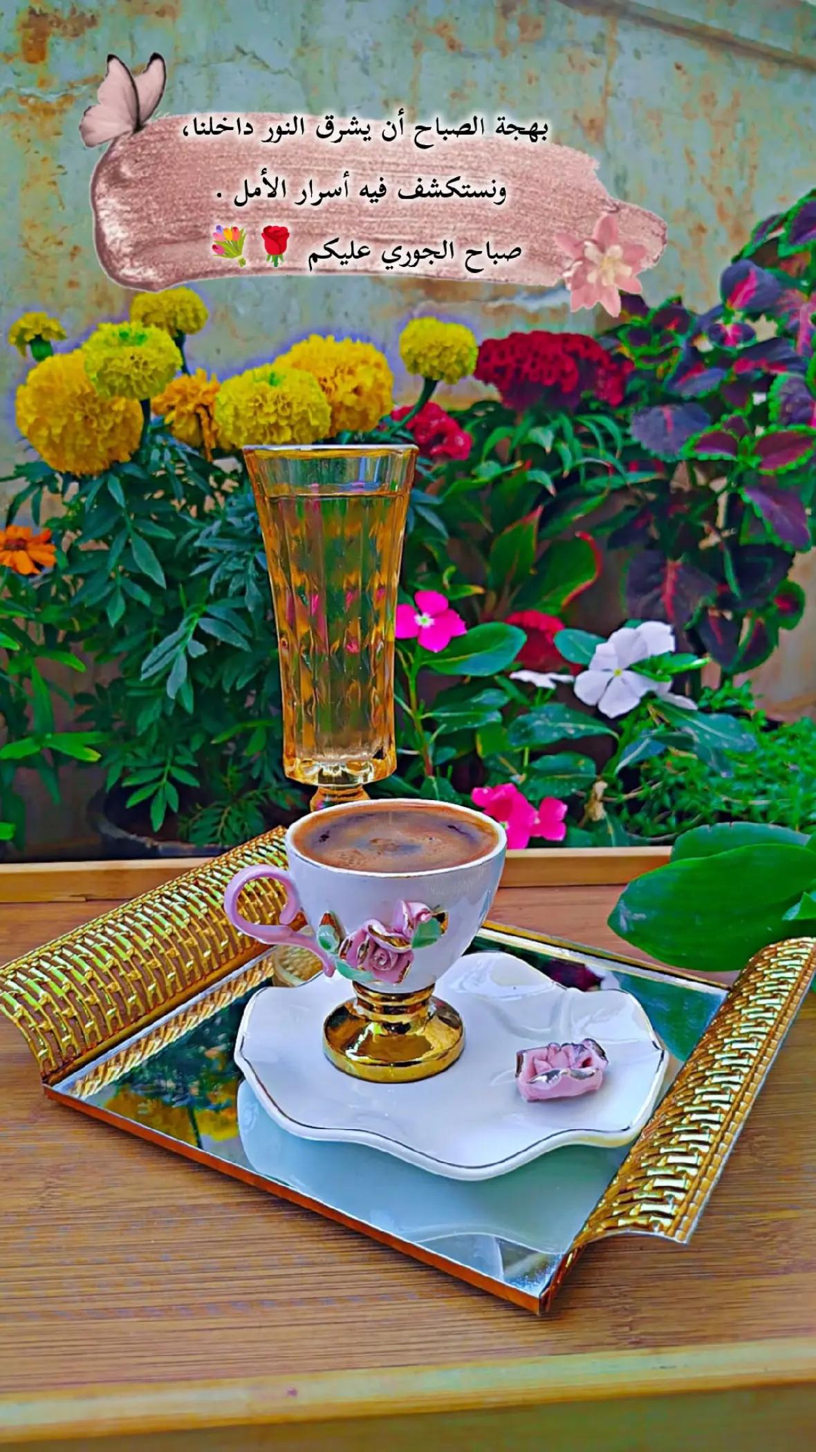 @عبير الورد🍃❤️