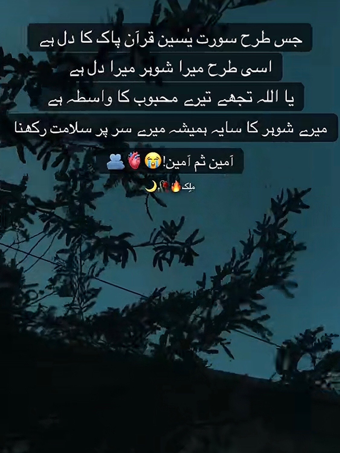 @“🫀شیرِنی راجپوت دی”🫀