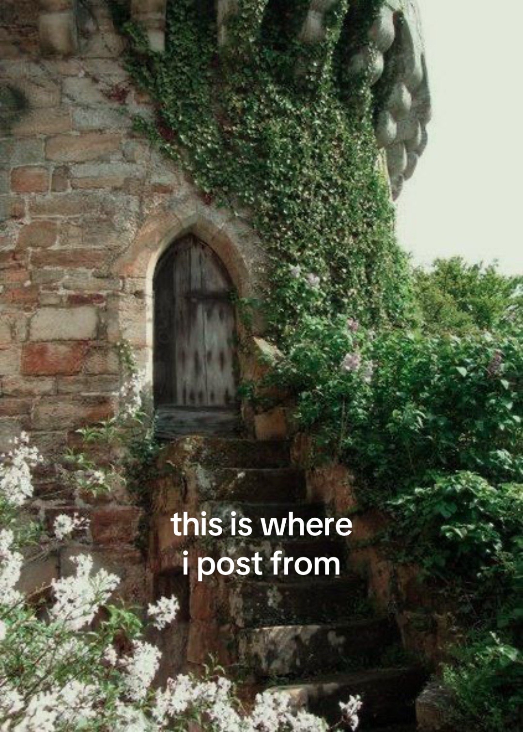 @Caitlin 🧚🏻&zwj;♀️