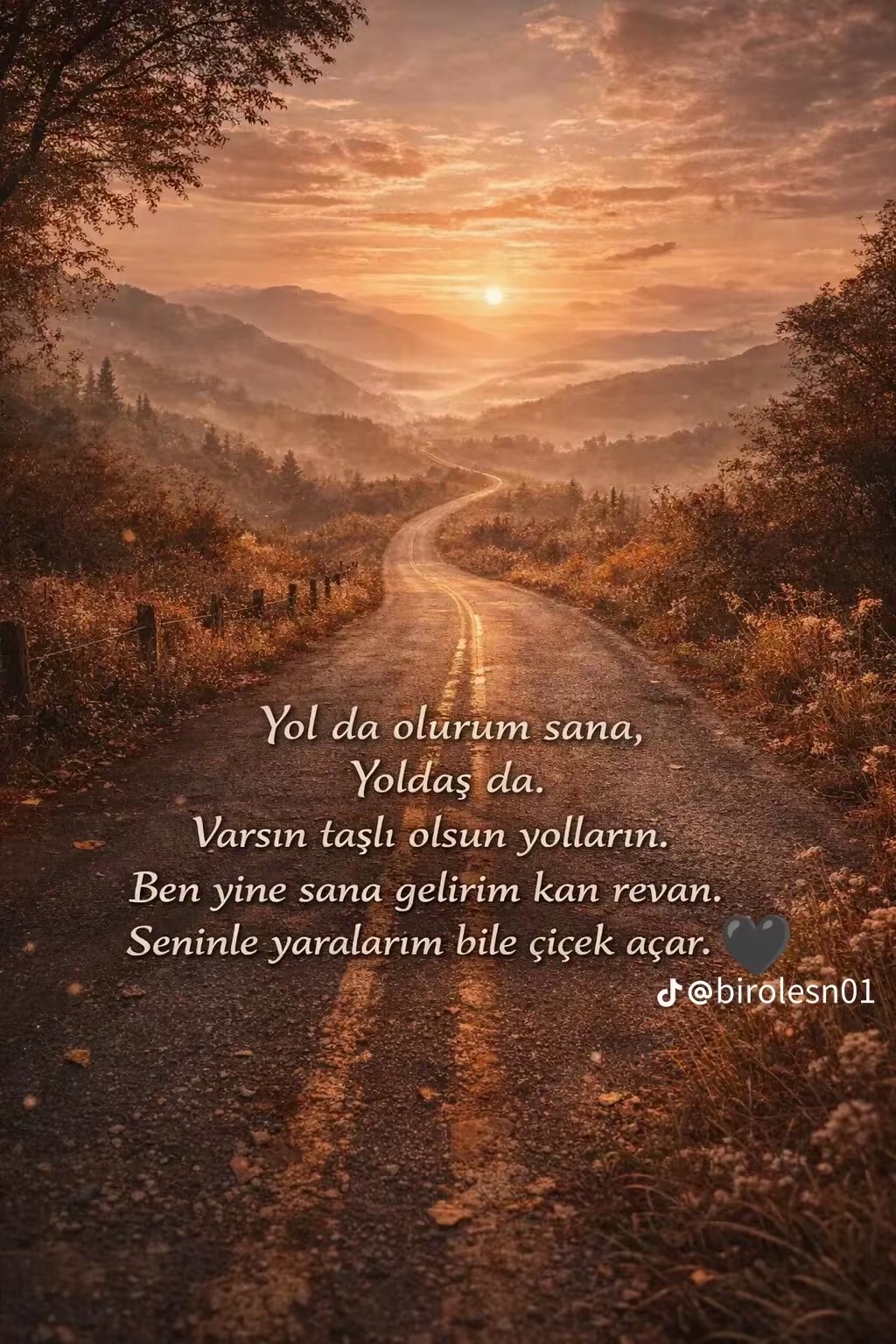 @Hanzade👸