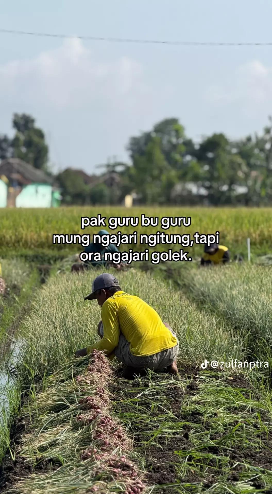 @NATE DAWAH