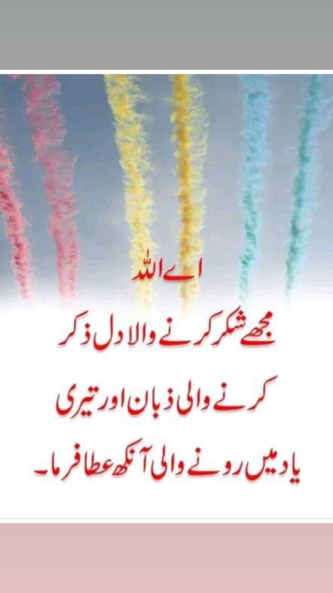 @maryam jamila