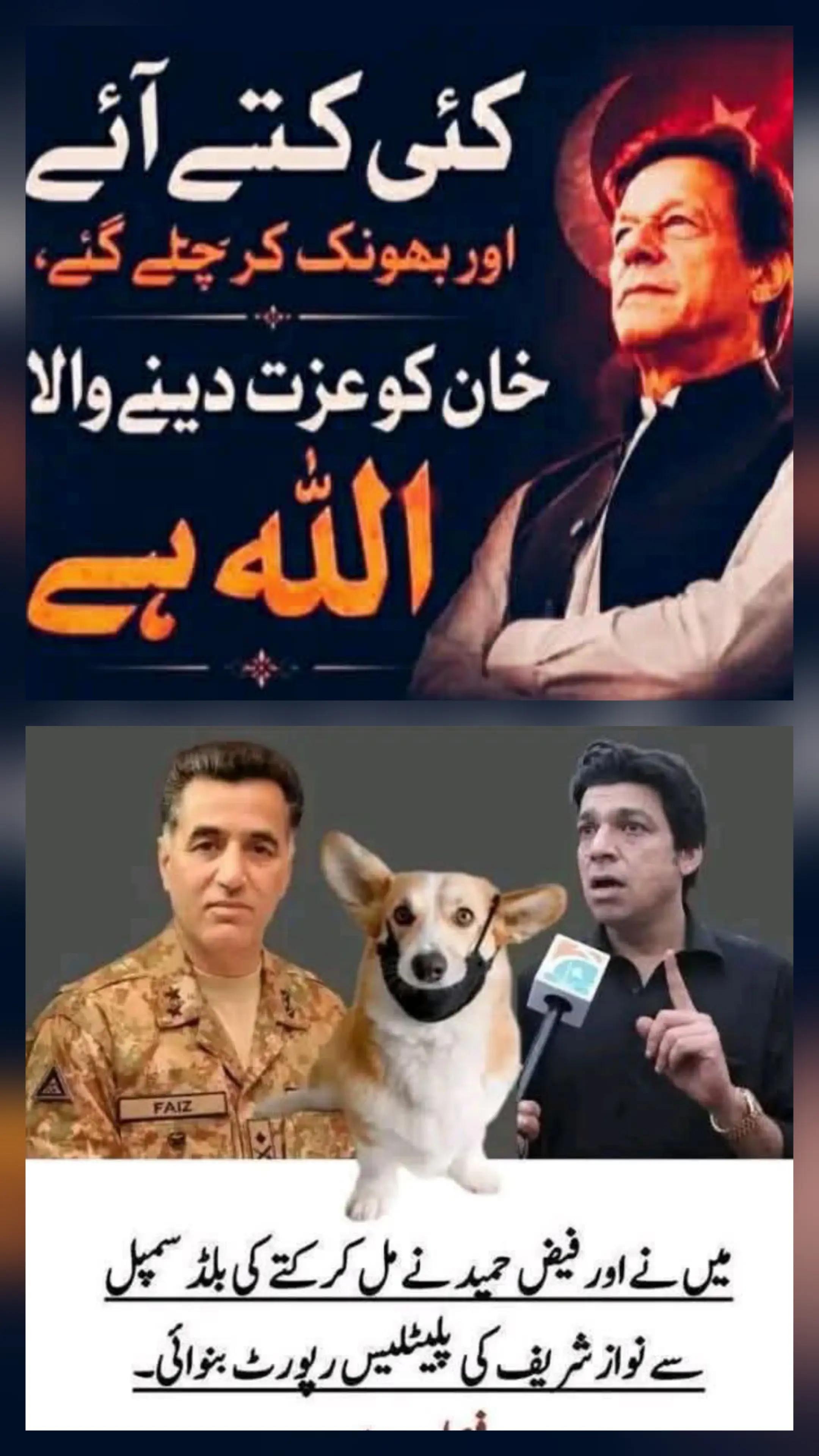 @zahidmahmood0152