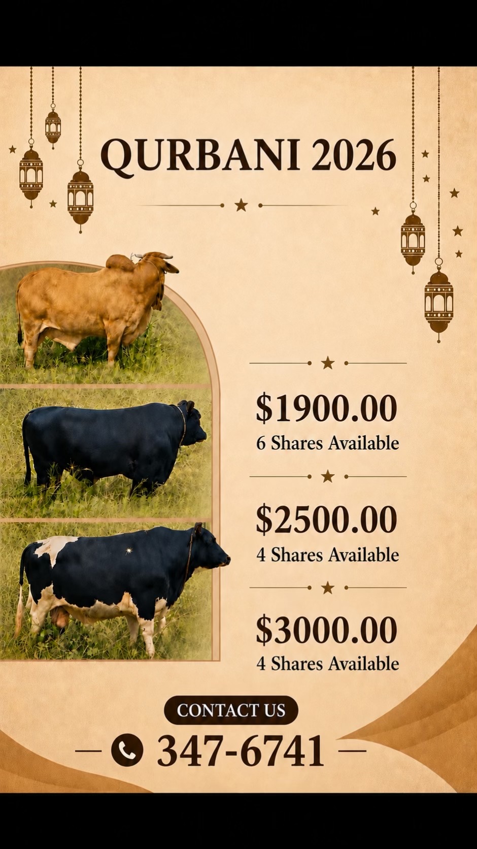@S.Ali livestock‼️