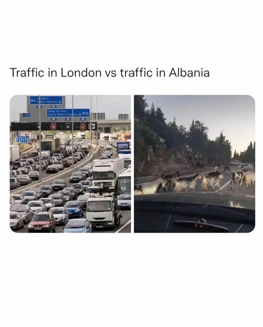@🇦🇱