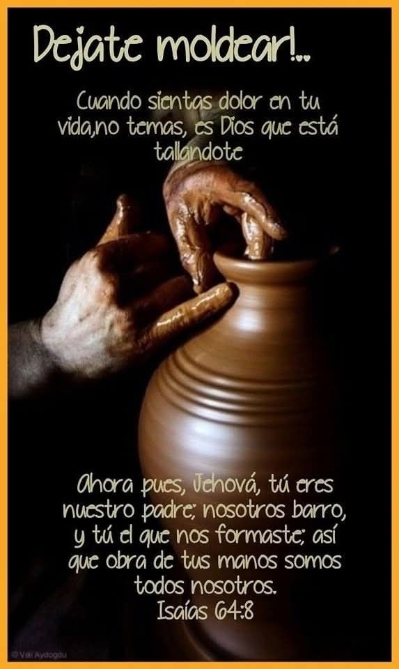 @palomita🕊️