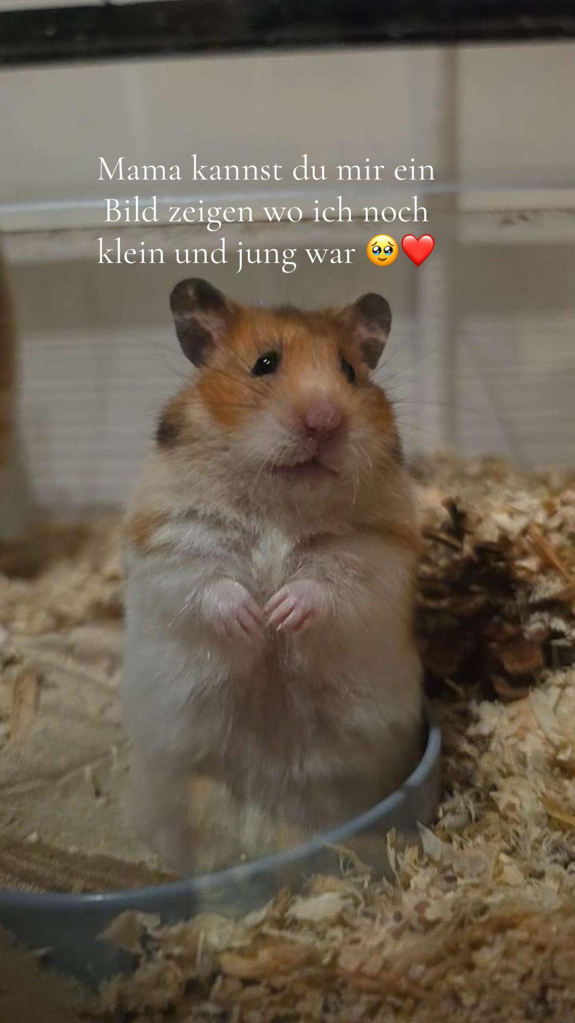 @❤️21.02.2026❤️