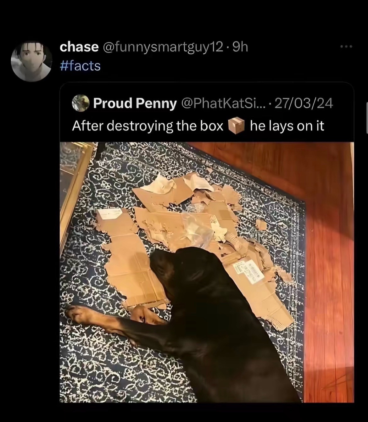 @The_AmazingSpiderMonkey