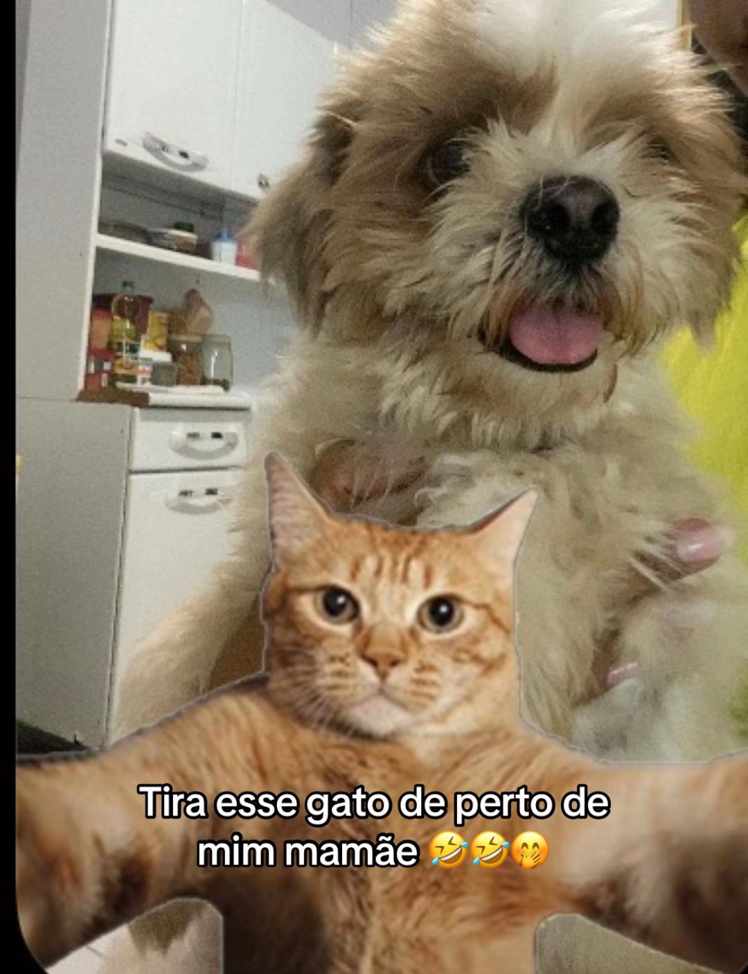 @Juliana Alves