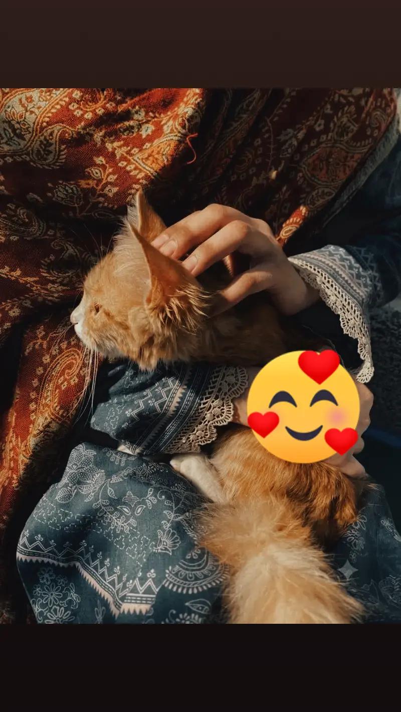 @تعلم ثم تكلم🥰 yesro mrkogna