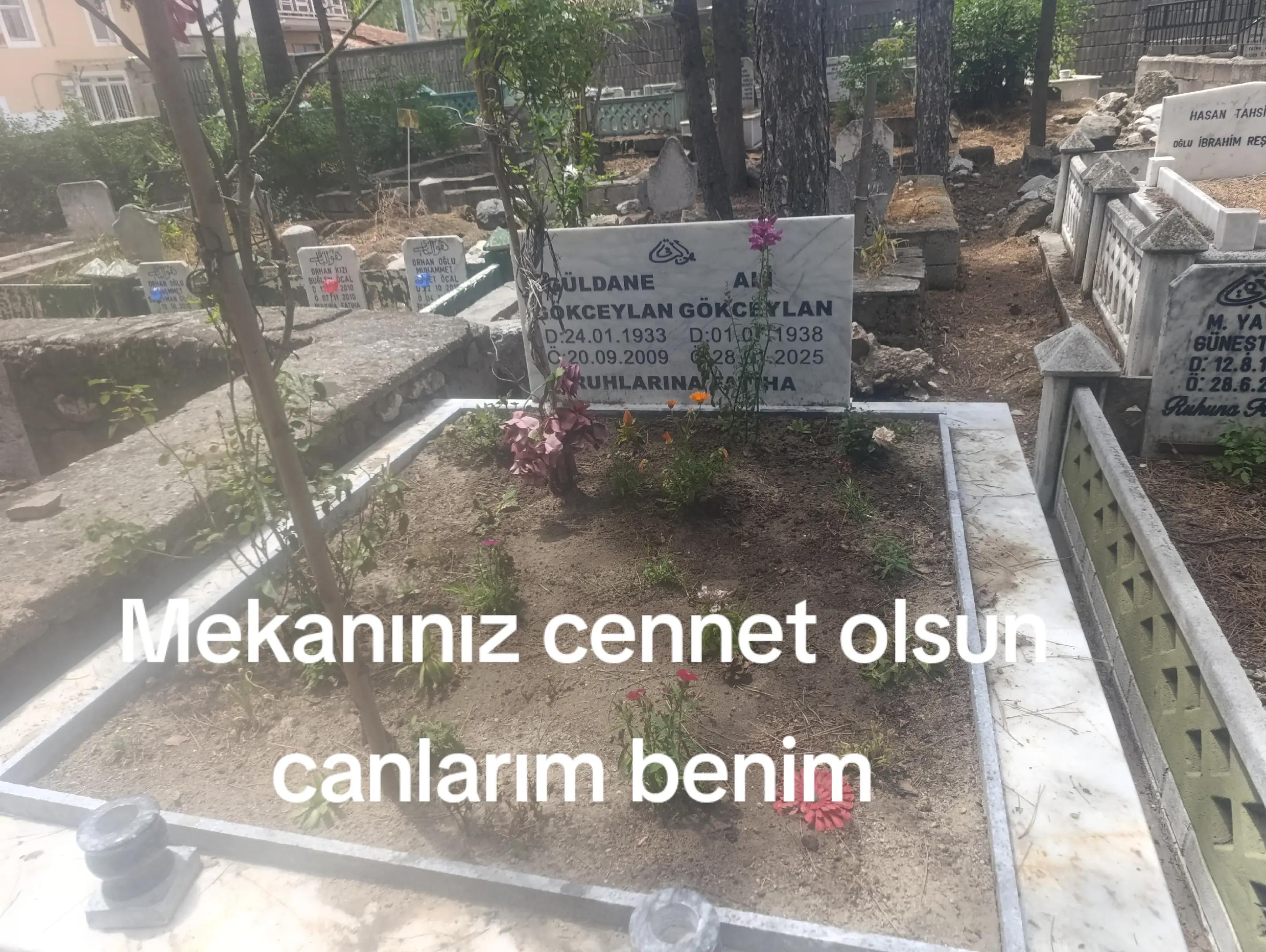 @Ali Tokat