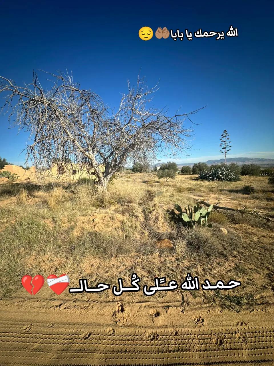 @🥰AMIN🇹🇳 BATOCH☠
