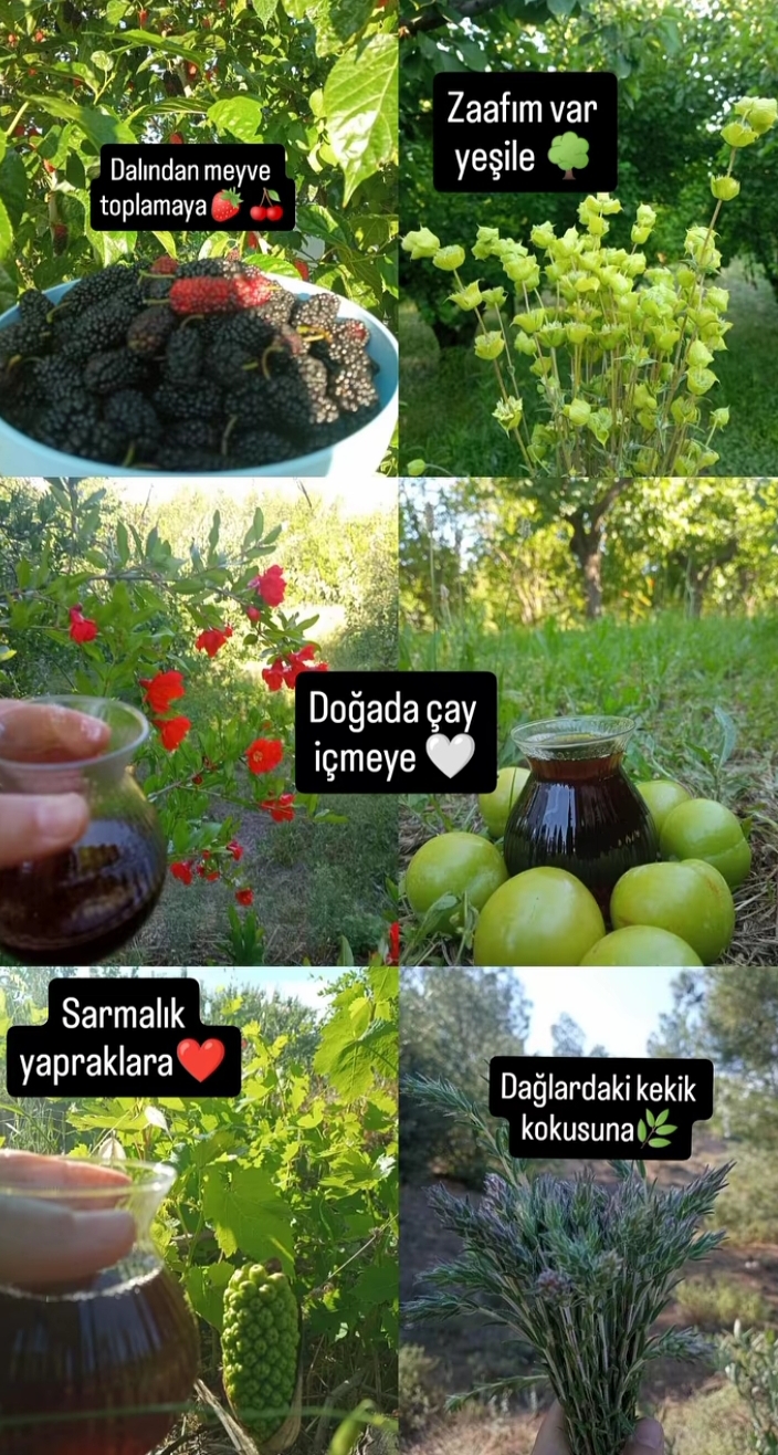 @Serpil Güneş