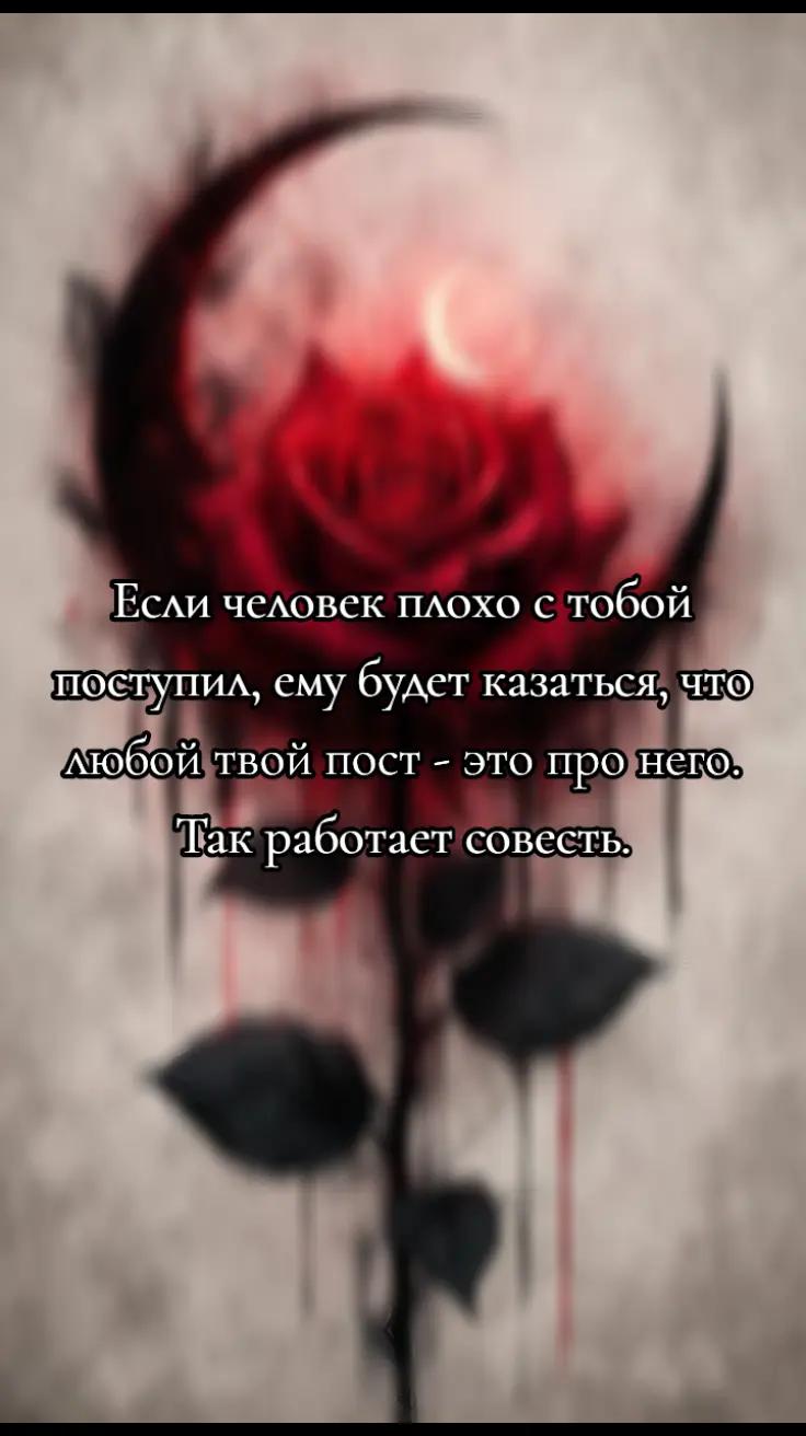 @Елизавета🖤