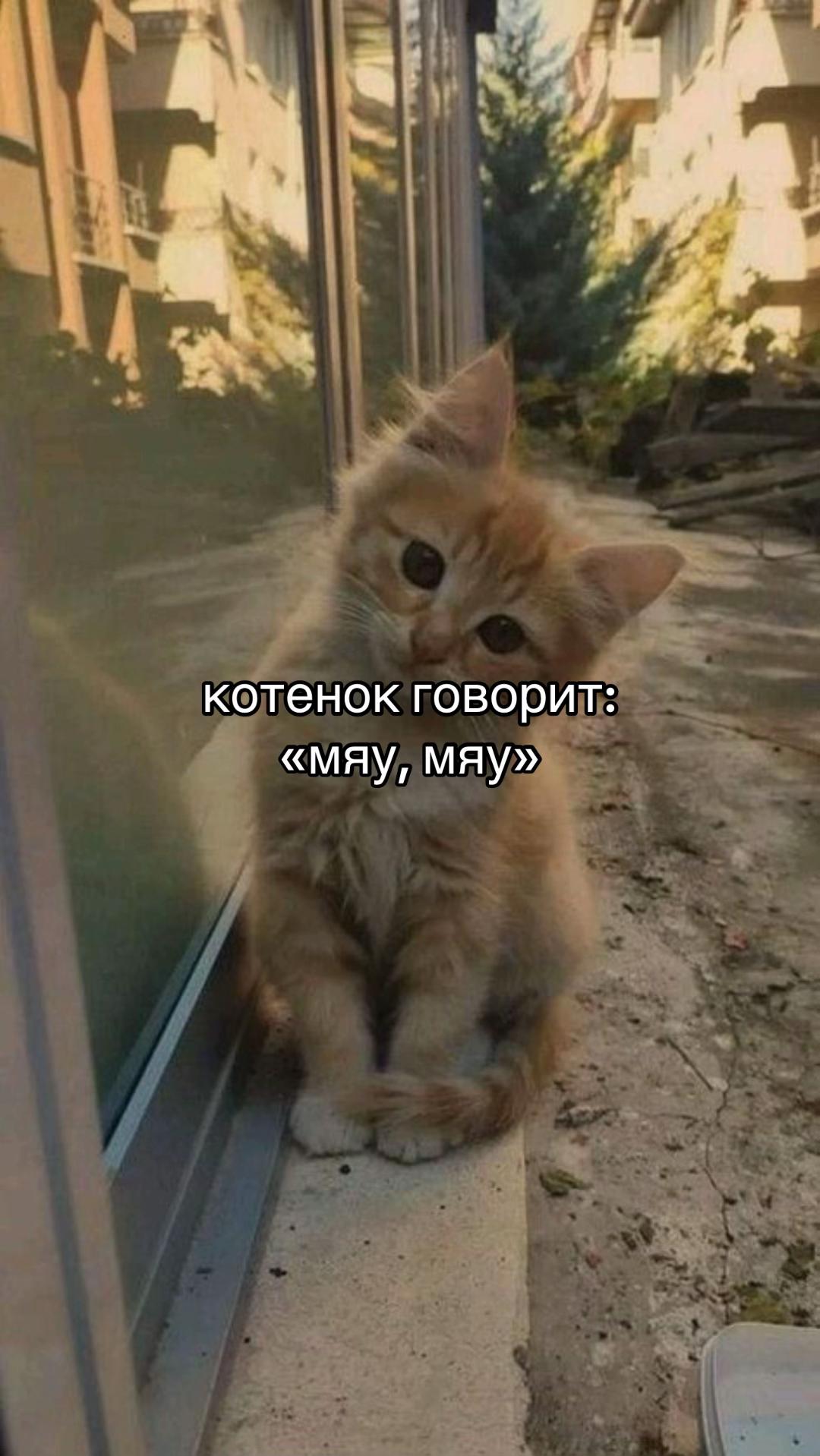 @No food, no problem