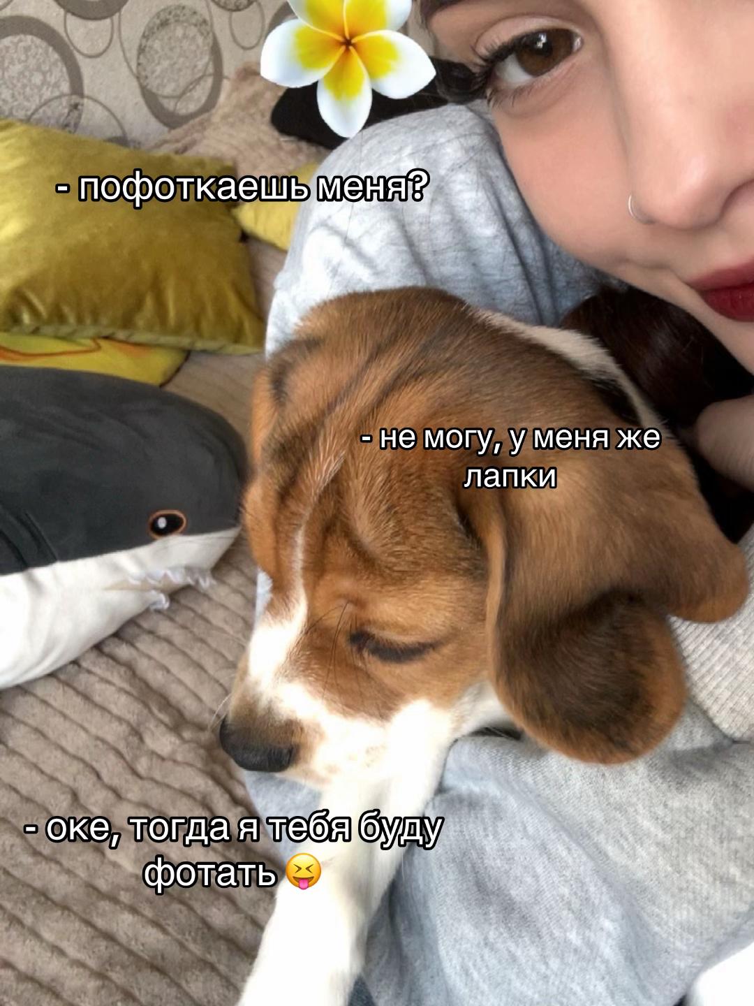 @Ви