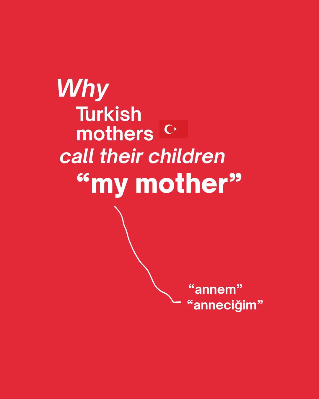 @Turkish On Board