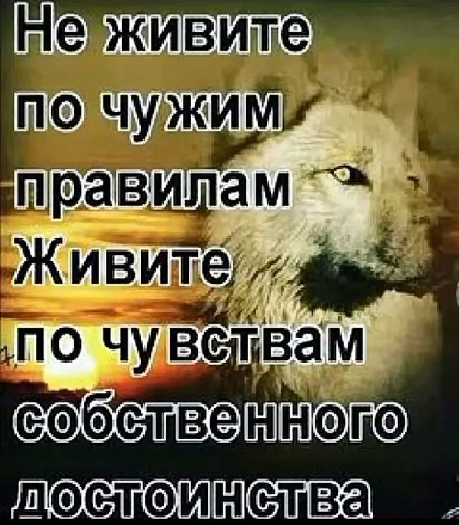 @erjan_talas