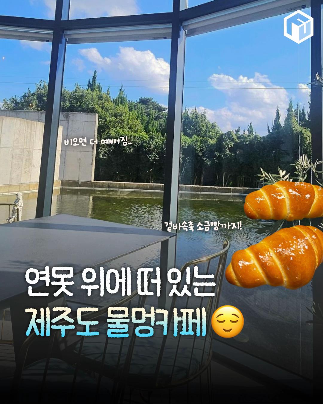 @제주톡톡